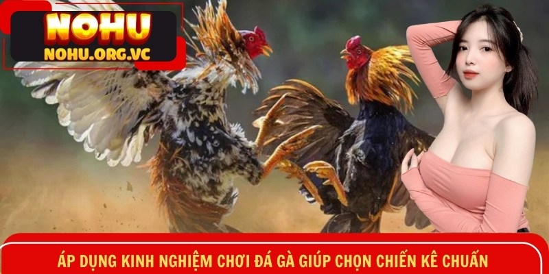 Áp dụng kinh nghiệm chơi đá gà giúp chọn chiến kê chuẩn