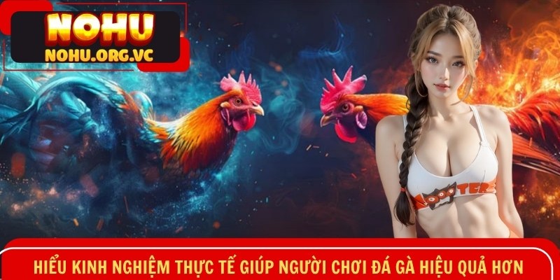 Hiểu kinh nghiệm thực tế giúp hội viên đá gà hiệu quả hơn