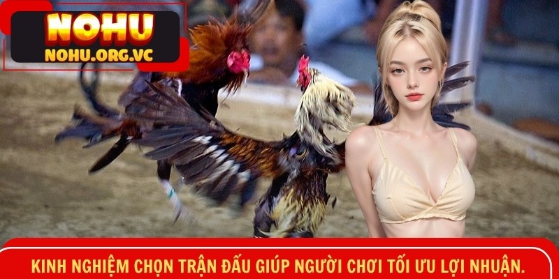 Kinh nghiệm chọn trận đấu giúp người chơi tối ưu lợi nhuận