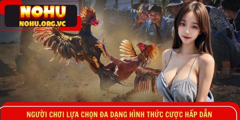 Người chơi lựa chọn đa dạng hình thức cược hấp dẫn