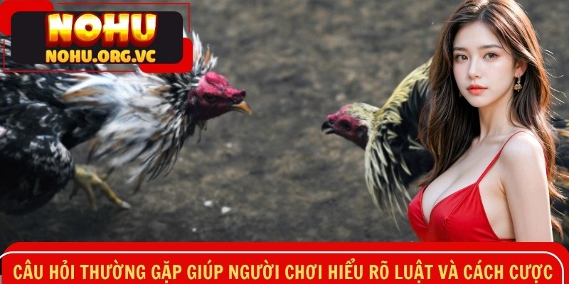 Câu hỏi thường gặp giúp người chơi hiểu rõ luật và cách cược