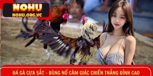 Đá gà cựa sắt