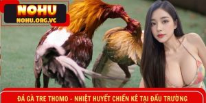 Đá gà tre Thomo
