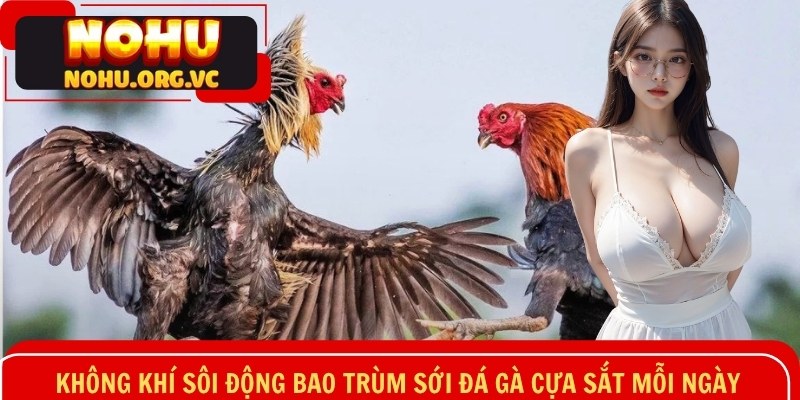 Không khí sôi động bao trùm sới đá gà cựa sắt mỗi ngày