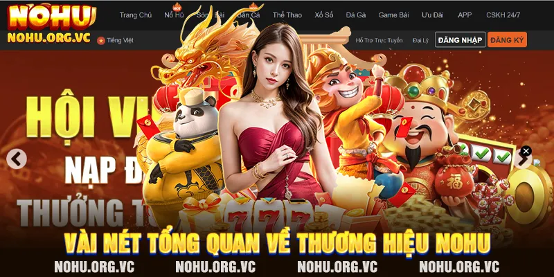 Vài nét tổng quan về thương hiệu NOHU